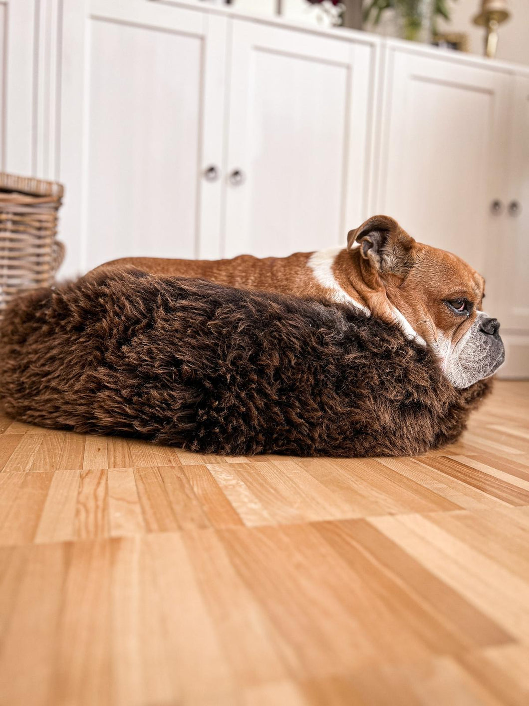 Hundebett und Katzenbett aus echtem Schaffell